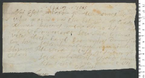 Open original Digitales Objekt