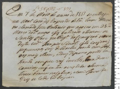 Open original Objeto digital