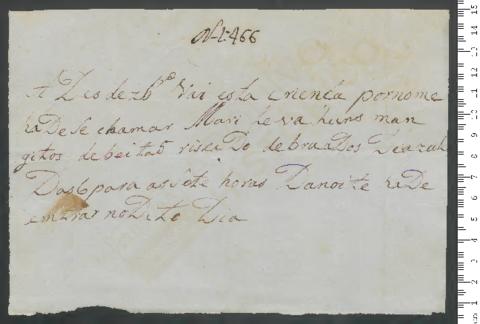 Open original Objeto digital