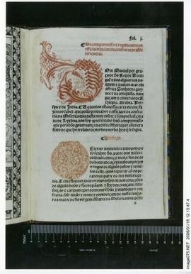 [Pormenor do fólio n.º 1 da edição impressa do Compromisso da Confraria da Misericórdia em 1516]