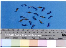 [Pormenor de agrafos para papel]