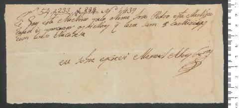 Open original Digitales Objekt