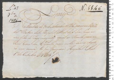 Open original Digitales Objekt