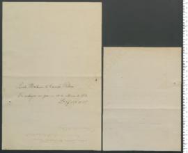 Processo de entrega de Lucete Hortênsia da Conceição Ribeiro, criança desamparada n.º 10 de 1912