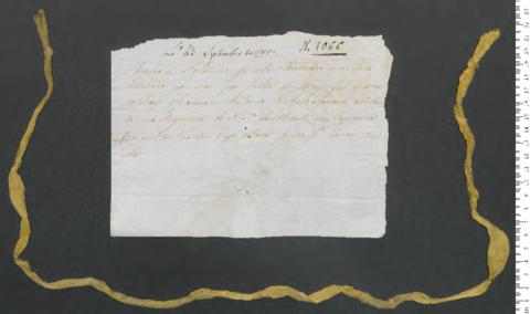 Open original Digitales Objekt