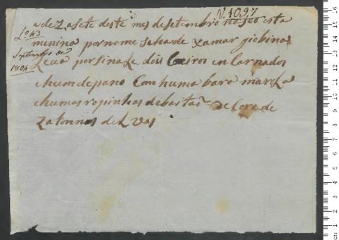 Open original Digitales Objekt