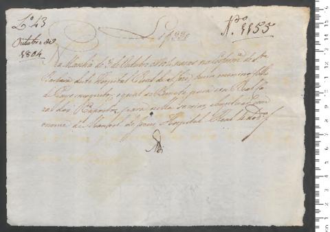 Open original Digitales Objekt