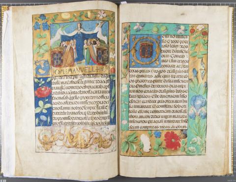 Original Objeto digital not accessible