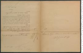 Processo de entrega de Maria dos Anjos, criança exposta n.º 169 de 1904