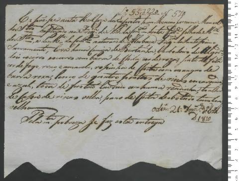 Open original Digitales Objekt