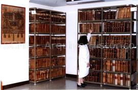 [Retrato de corpo inteiro de Maria Elisete Alves Carias Marcelino procedendo à localização de um ...