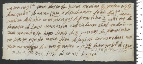 Open original Digitales Objekt