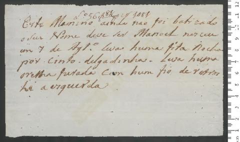 Open original Digitales Objekt