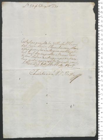 Open original Objeto digital