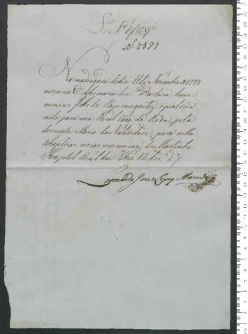 Open original Digitales Objekt