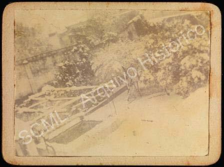 Open original Objet numérique