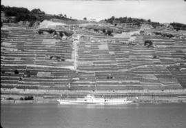 [Vista geral de uma encosta de socalcos sobranceira ao Lago Léman, na Suíça]