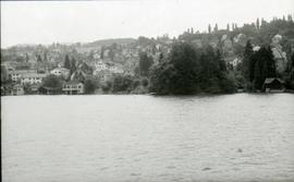 [Vista parcial de uma colina do Lago de Zurique, na Suíça]