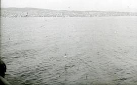 [Vista parcial do Lago de Zurique, na Suíça]