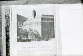 [Plano da gravura do edifício da Universidade de Heidelberg]