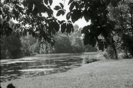 Open original Objet numérique