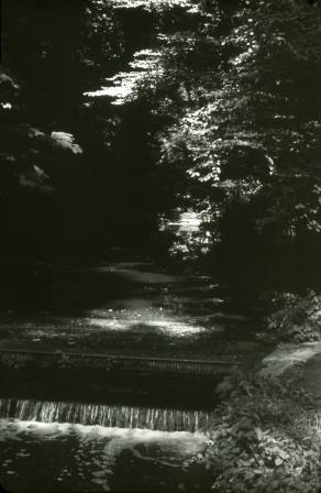 Open original Objet numérique