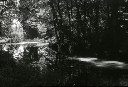 Open original Objet numérique