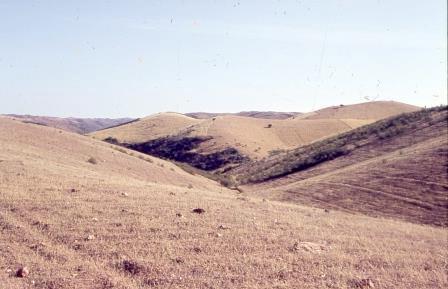 Open original Objet numérique